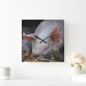 ピンクピグ写真 スクエア壁時計 (ホーム)