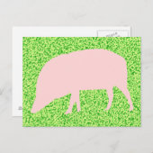 ピンクピグ葉書 ポストカード (正面/裏面)