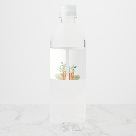 ピンクピーターうさぎ赤ちゃんシャワー ペットボトルラベル (裏面)