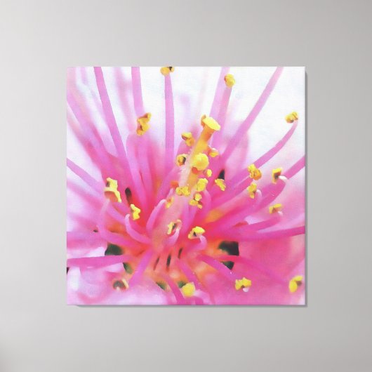 ピンクピーチ花粉マクロ抽象芸術アート キャンバスプリント (正面)