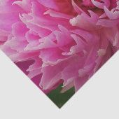 ピンクピーニーフラワーティッシュペーパー 薄葉紙 (詳細)