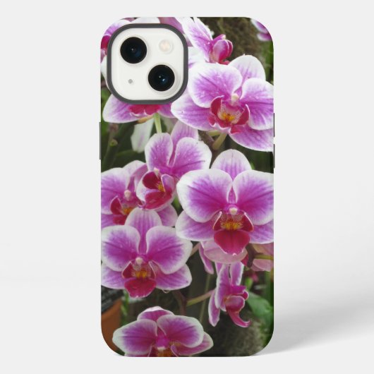 ピンクファレノプシスiPhone 13ケース iPhoneケース (裏面)