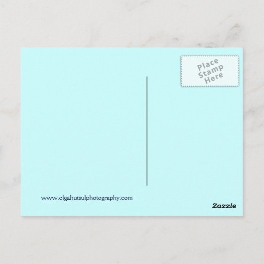 ピンクファンキーフロリダフラミンゴ旅行はがき ポストカード (裏面)