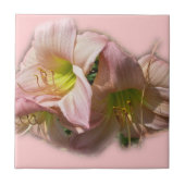 ピンクファンシーのデイリー タイル (正面)