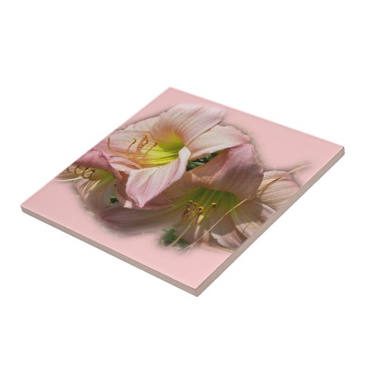 ピンクファンシーのデイリー タイル (側面)