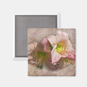 ピンクファンシーのデイリー マグネット (正面/裏面)