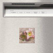 ピンクファンシーのデイリー マグネット (インサイチュ (食洗機))