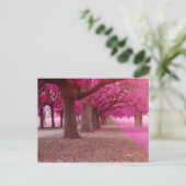 ピンクファンタジー公園 ポストカード (スタンド正面)