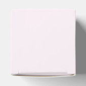 ピンクファーストのまわりにトリップザ・サン1歳の誕生日パーティー フェイバーボックス (上部)