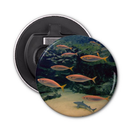 ピンクフィッシュショール 栓抜き (正面)