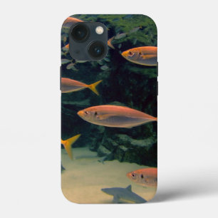 ピンクフィッシュショール iPhone 13 MINIケース