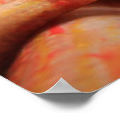 ピンクフィッシュポスター/プリント ポスター (角)