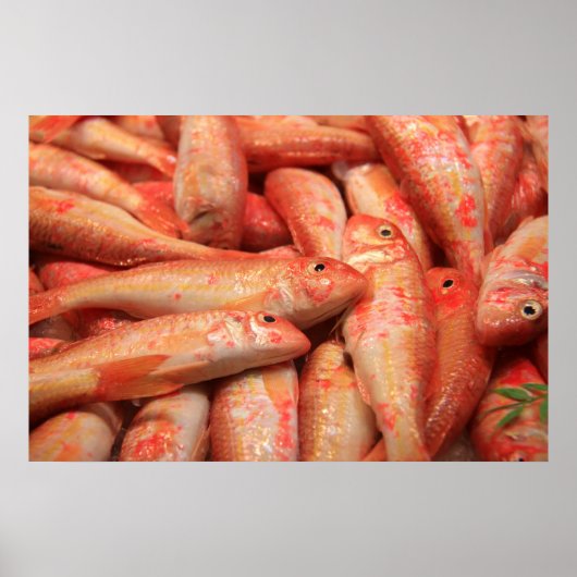 ピンクフィッシュポスター/プリント ポスター (正面)