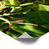 ピンクフォックスグローブフローラプリント ポスター (角)