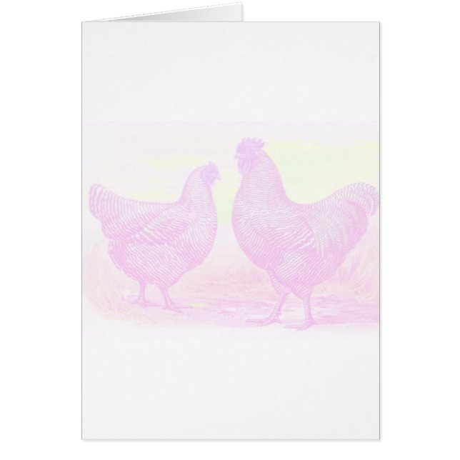 ピンクフォーム (正面)