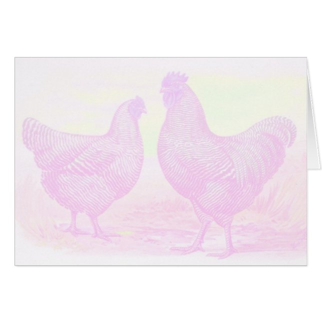 ピンクフォーム (正面横)