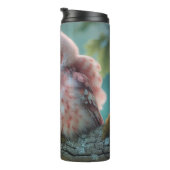 ピンクフクロウ タンブラー (回転右)