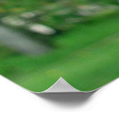 ピンクフラップスプリント ポスター (角)