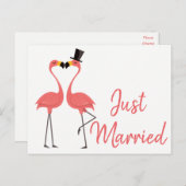 ピンクフラミンゴたった今結婚しました結婚トロピカルラブ 案内ポストカード (正面/裏面)