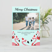 ピンクフラミンゴサンタフォトクリスマス (スタンド正面)