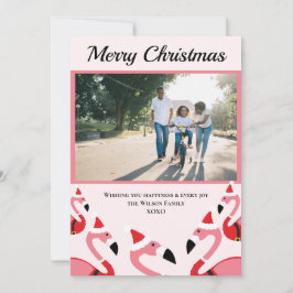 ピンクフラミンゴサンタフォトクリスマス