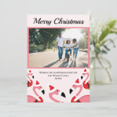 ピンクフラミンゴサンタフォトクリスマス (スタンド正面)