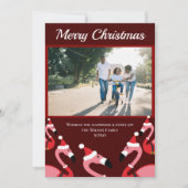 ピンクフラミンゴサンタフォトクリスマス (正面)