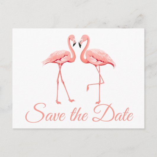 ピンクフラミンゴザデイト婚約結婚ズ 案内ポストカード (正面)