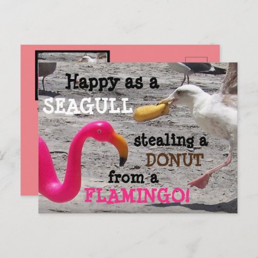 ピンクフラミンゴシーガルドーナツホテルビーチバケーションユーモア ポストカード (正面/裏面)