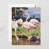 ピンクフラミンゴスヴィンテージイラストレーション ポストカード (正面/裏面)