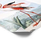 ピンクフラミンゴバードアート フォトプリント            (角)