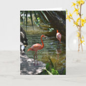 ピンクフラミンゴ カード (黄色い花)