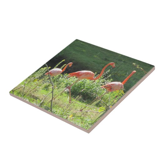 ピンクフラミンゴ タイル (側面)