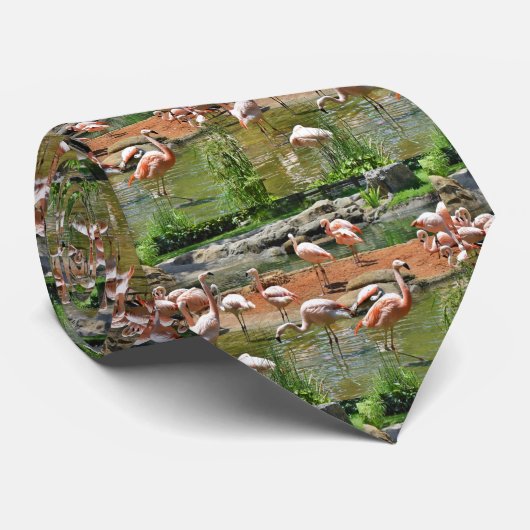 ピンクフラミンゴ ネクタイ (ロール)