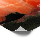 ピンクフラミンゴ ポスター (角)