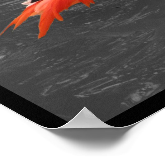 ピンクフラミンゴ ポスター (角)