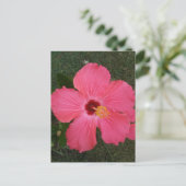 ピンクフラワーはがき ポストカード (スタンド正面)