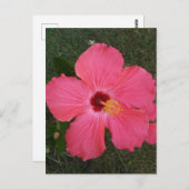 ピンクフラワーはがき ポストカード (正面/裏面)