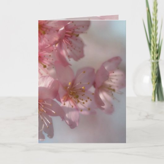 ピンクフラワーカード シーズンカード (正面)