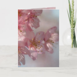 ピンクフラワーカード シーズンカード