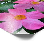 ピンクフラワーフォトプリント フォトプリント            (角)