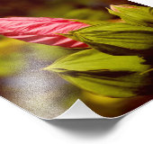 ピンクフラワーブドコダックプロフェッショナルフォト紙 フォトプリント            (角)