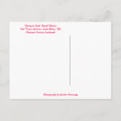 ピンクフラワーボックタワーガーデンズレイクウェールズ州フロリダ ポストカード (裏面)