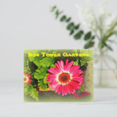 ピンクフラワーボックタワーガーデンズレイクウェールズ州フロリダ ポストカード (スタンド正面)