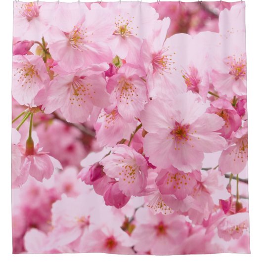 ピンクフラワー日本のさくらんぼ花見フローラ シャワーカーテン (正面)