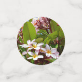 ピンクフランギパニの木 コンフェッティ (スモール正面)