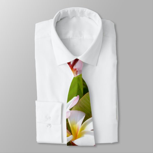 ピンクフランギパニの木 ネクタイ (タイ)