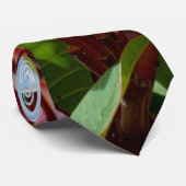 ピンクフランギパニの木 ネクタイ (ロール)