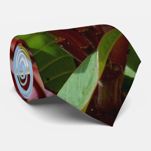 ピンクフランギパニの木 ネクタイ (ロール)