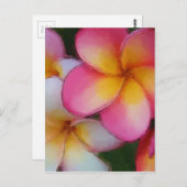 ピンクフランギパニプルメリア花 ポストカード (正面/裏面)
